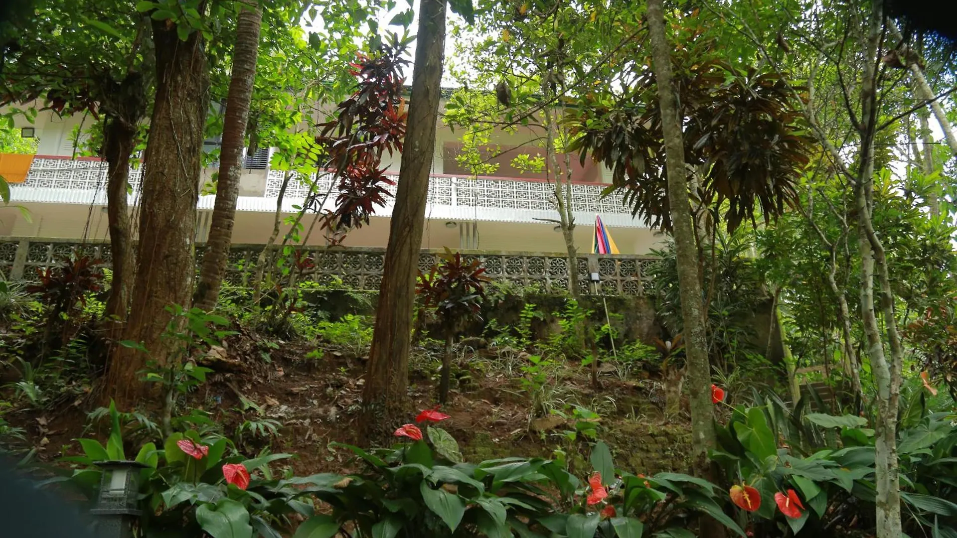 Serene Scene Eco Holiday Resort Kandy 0*,  Sri Lanka