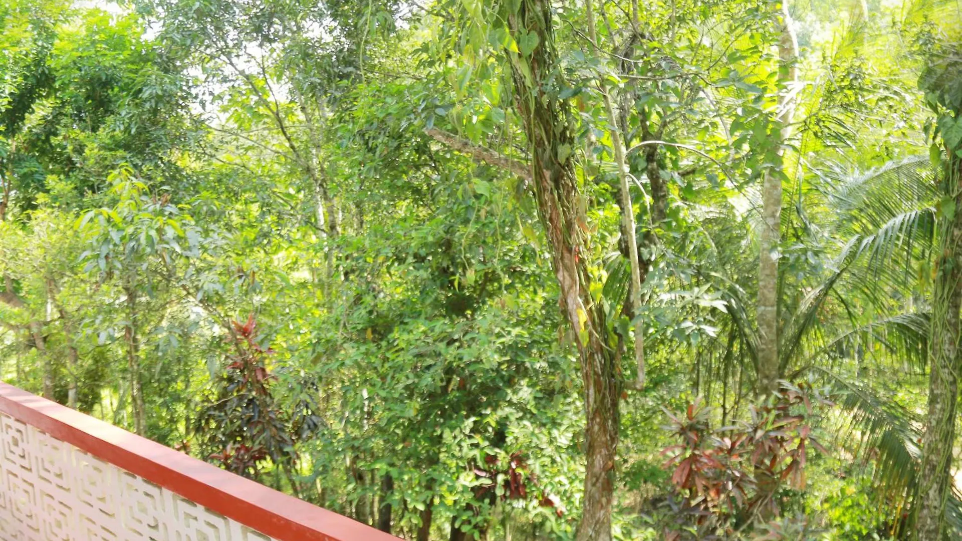 Serene Scene Eco Holiday Resort Kandy