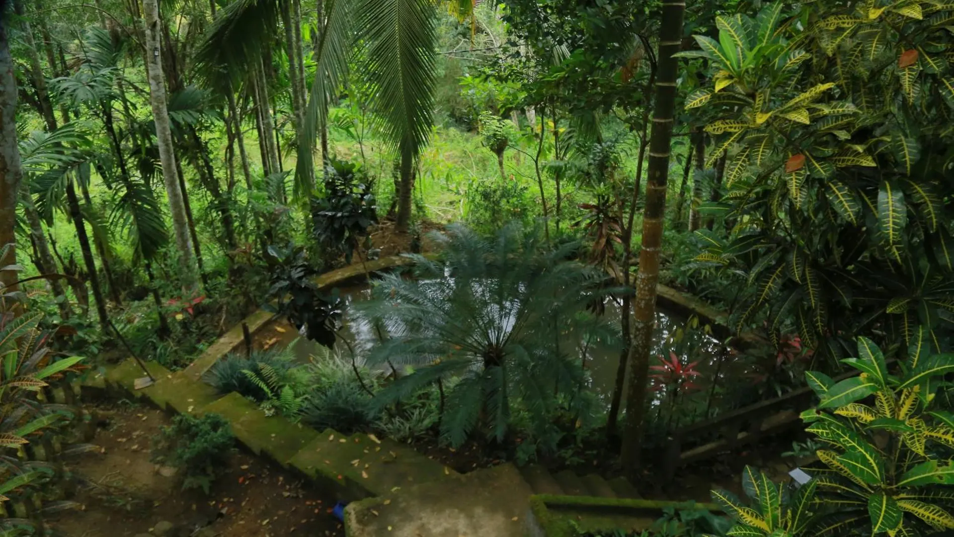 Serene Scene Eco Holiday Resort Kandy
